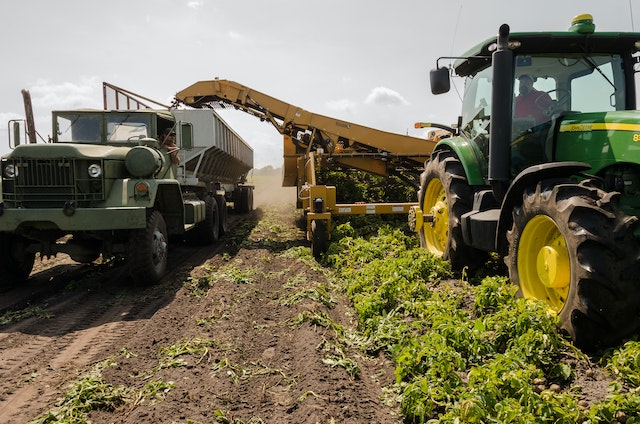 The Transformative Power of Agriculture: Nurturing a Sustainable Future